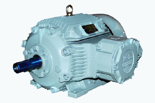 Industrial Flameproof-Motors
